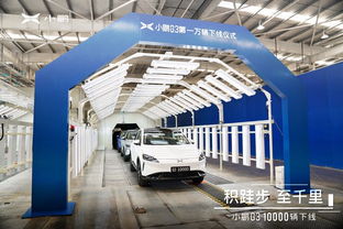 智能運營賦能，雙月領跑新勢力賽道——解析連續登頂背后的戰略密碼
